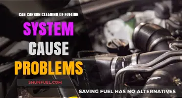Carbon Cleaning Fuel Systems: Potential Risks and Common Issues Explained