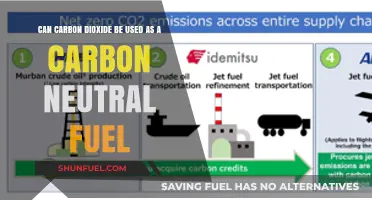 Exploring Carbon Dioxide as a Sustainable, Carbon-Neutral Fuel Source