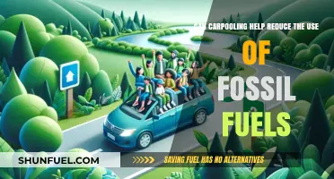 Carpooling: A Sustainable Way to Reduce Fossil Fuel Usage