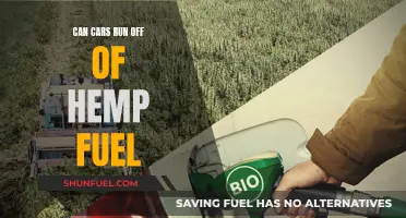 Hemp Fuel: The Green Alternative for Your Car?