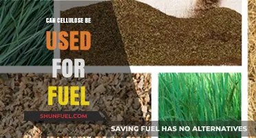 Exploring Cellulose as a Sustainable Alternative Fuel Source