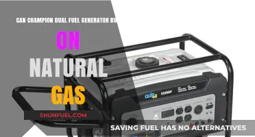 Can Champion Dual Fuel Generators Run on Natural Gas?