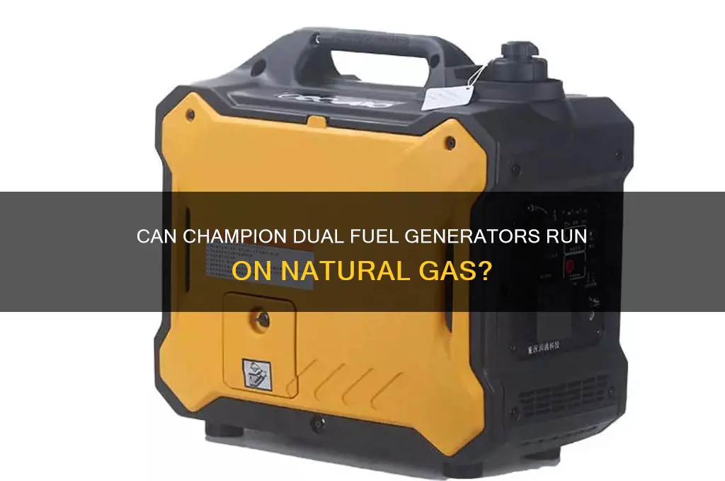 can champion dual fuel generator run on natural gas