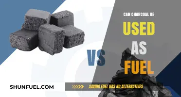 Exploring Charcoal's Potential: A Sustainable Fuel Alternative for the Future