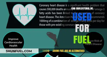 Cholesterol as Fuel: Unlocking Its Potential Energy Source