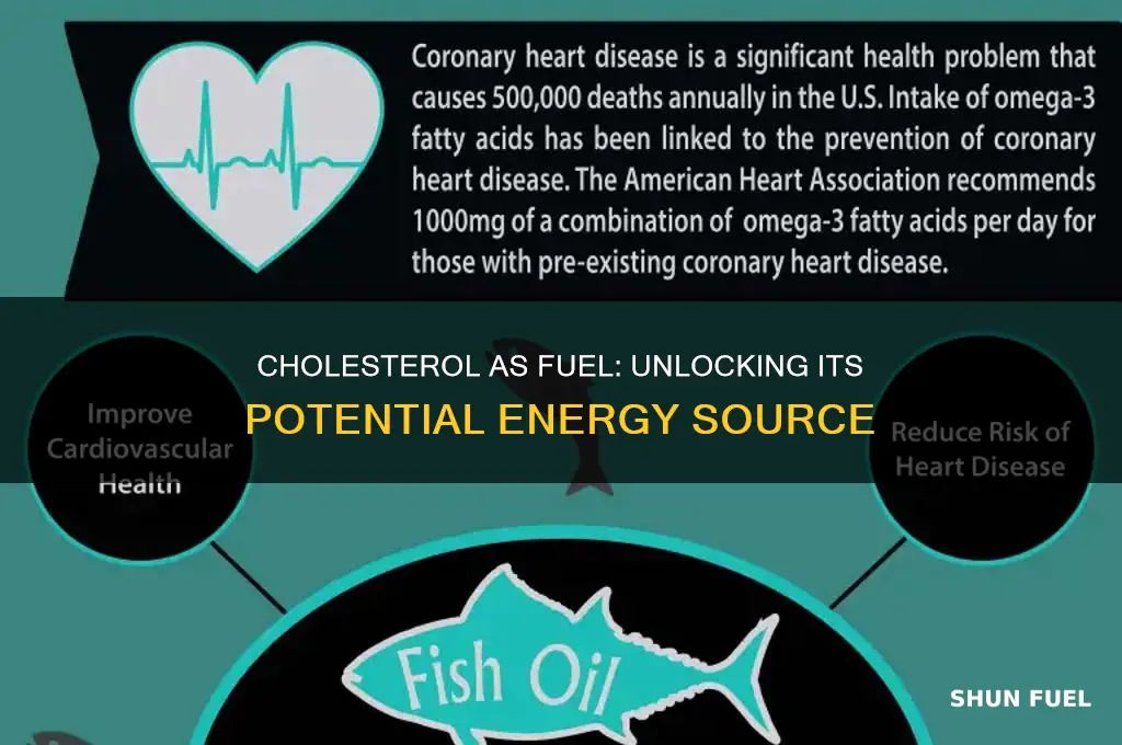 can cholesterol be used for fuel