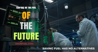 CO2 as Future Fuel: Sustainable Energy Revolution or Myth?