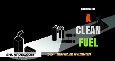 Can Coal Be Clean? Exploring the Potential of a Controversial Fuel