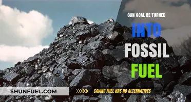 How Coal Transforms into Fossil Fuel?