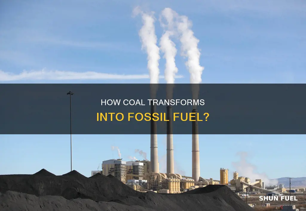 can coal be turned into fossil fuel