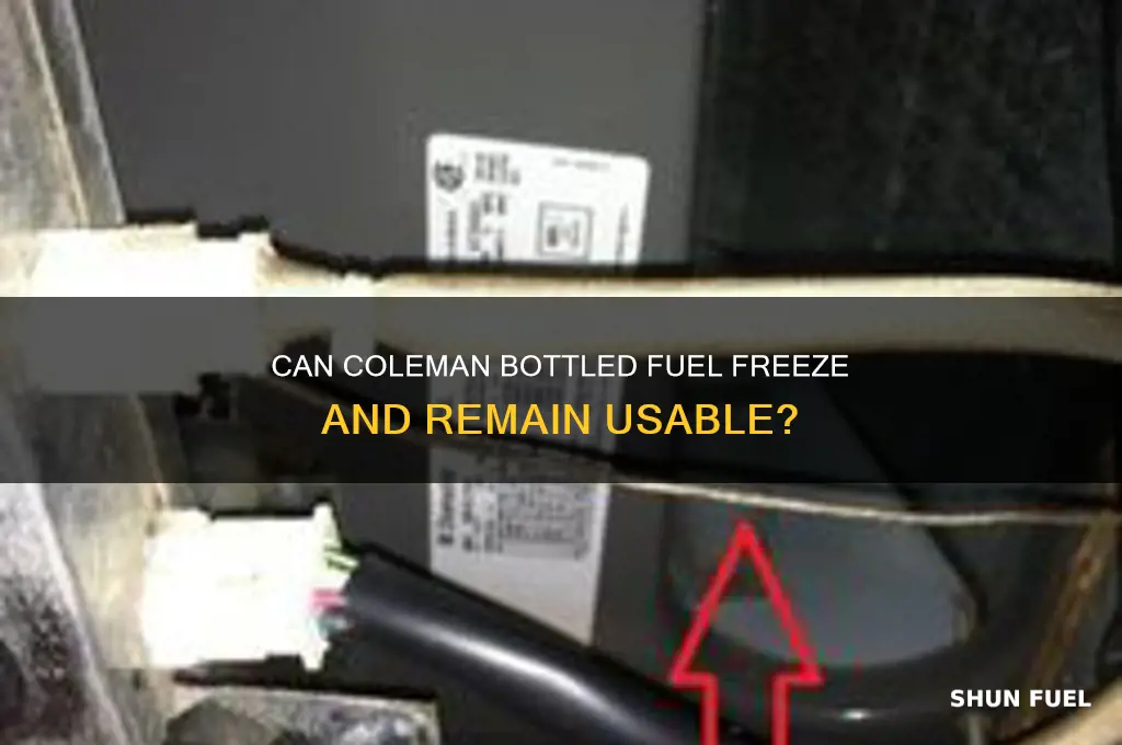 can coleman bottled fuel freeze and still be good
