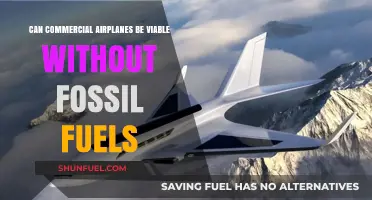 The Future of Air Travel: Fossil-Fuel Free?