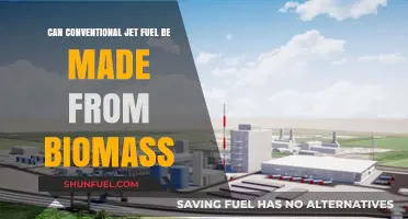 Biomass to Jet Fuel: Sustainable Aviation Fuel's Green Potential