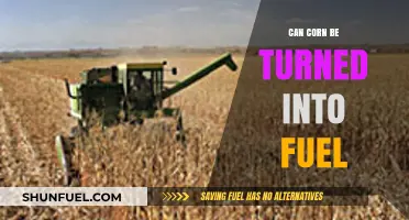 Turning Corn into Fuel: Exploring Biofuel Potential and Sustainability