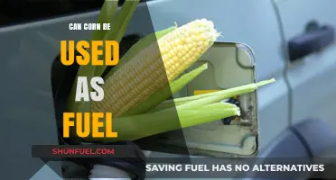 Exploring Corn's Potential as a Renewable Fuel Source