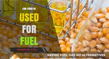 Exploring Corn's Potential: Can This Crop Power Our Future Fuel Needs?