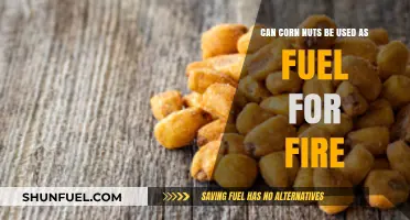 Can Corn Nuts Fuel a Fire? Surprising Combustion Potential Explored