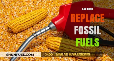 Corn's Potential: A Renewable Fuel Revolution