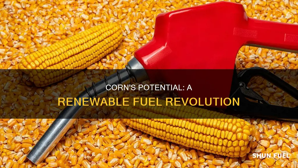 can corn replace fossil fuels