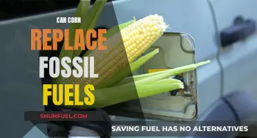 Corn: The Green Alternative to Fossil Fuels?