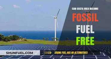 Costa Rica: A Fossil Fuel Free Future?