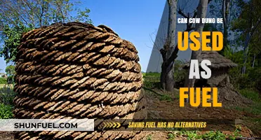 Cow Dung as Fuel: Sustainable Energy Source or Myth?