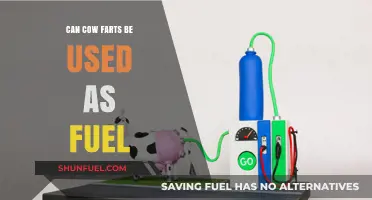 Cow Farts as Fuel: Unlocking Renewable Energy from Livestock Emissions