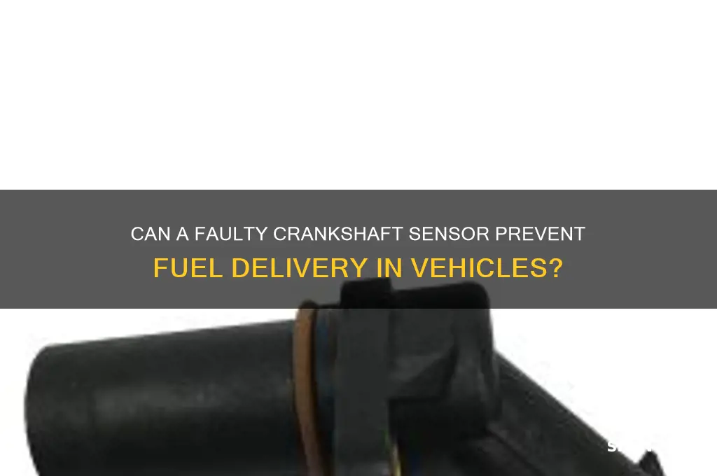 can crankshaft sensor cause no fuel