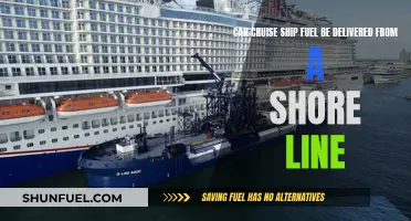 Cruise Ship Fuel: Can It Be Delivered from the Shore?