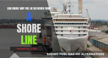 Cruise Ship Fuel: Shore Delivery Possibilities Explored