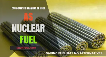Depleted Uranium: Potential Nuclear Fuel or Wasted Resource?