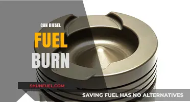 Can Diesel Fuel Burn? Understanding Combustion and Ignition Properties