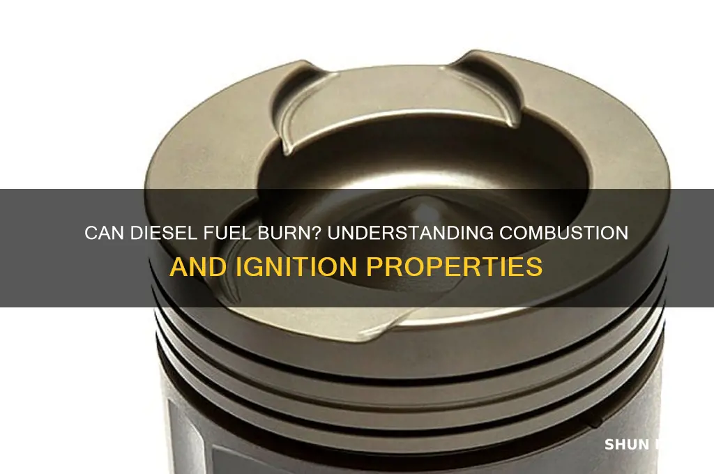 can diesel fuel burn