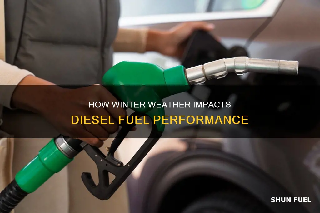 can diesel fuel gel up in the winter time