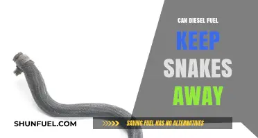 Does Diesel Fuel Repel Snakes? Uncovering the Truth and Myths
