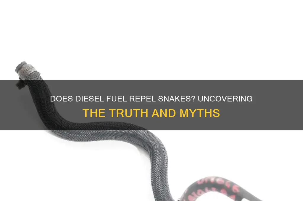 can diesel fuel keep snakes away