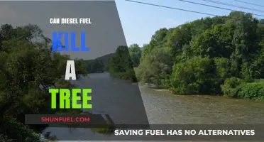 Diesel Fuel's Deadly Impact: Can It Kill Trees and How?