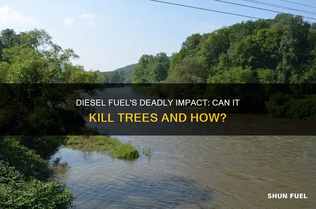 can diesel fuel kill a tree