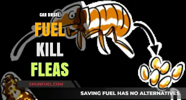 Can Diesel Fuel Kill Fleas? Uncovering the Truth and Risks