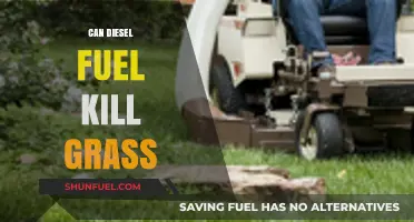 Diesel Fuel's Impact: Can It Harm or Kill Your Grass?