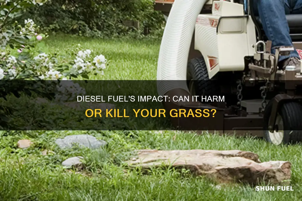 can diesel fuel kill grass