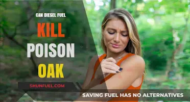 Destroy Poison Oak with Diesel Fuel