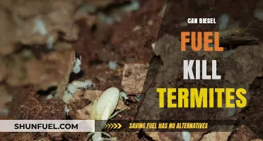 Diesel Fuel vs. Termites: Effective Treatment or Deadly Myth?