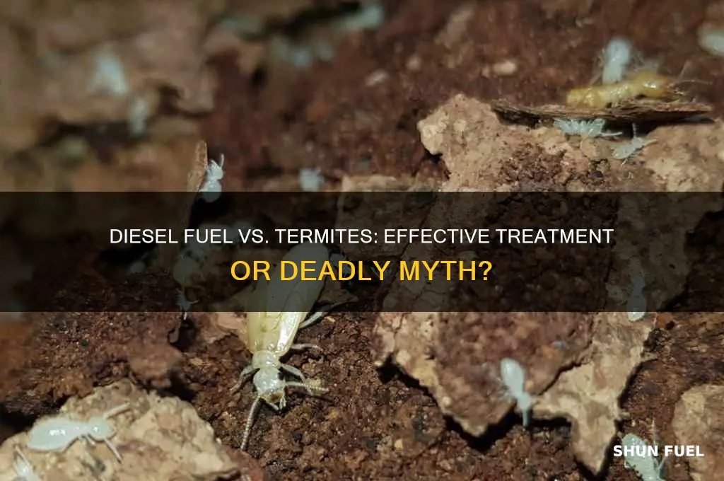 can diesel fuel kill termites