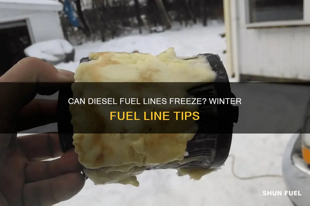 can diesel fuel lines freeze