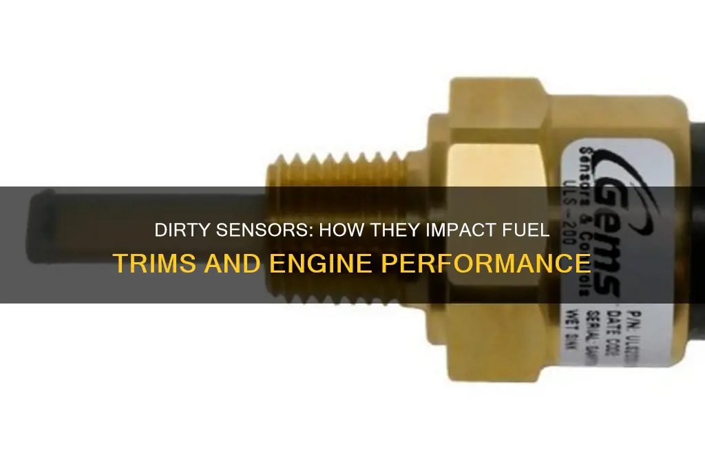 can dirty effect the fuel trims