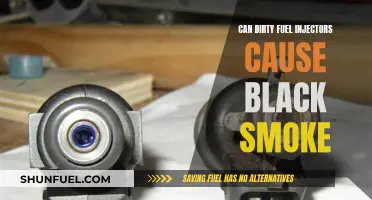 Dirty Fuel Injectors: Black Smoke Culprit?