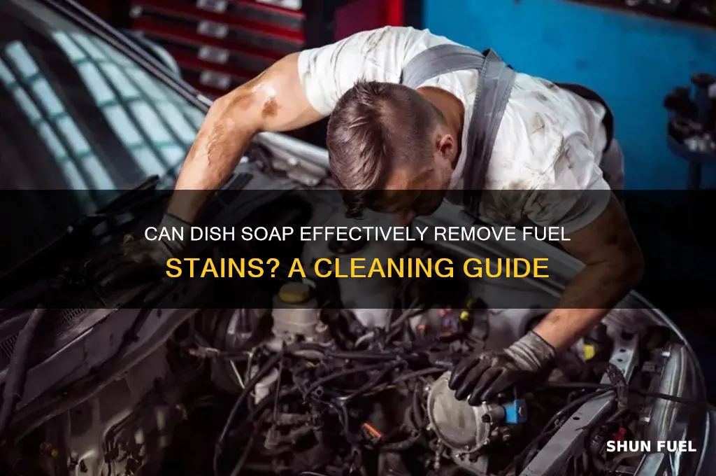 can dish soap get out fuel