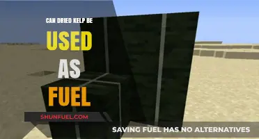 Dried Kelp as Fuel: Sustainable Energy Source or Myth?