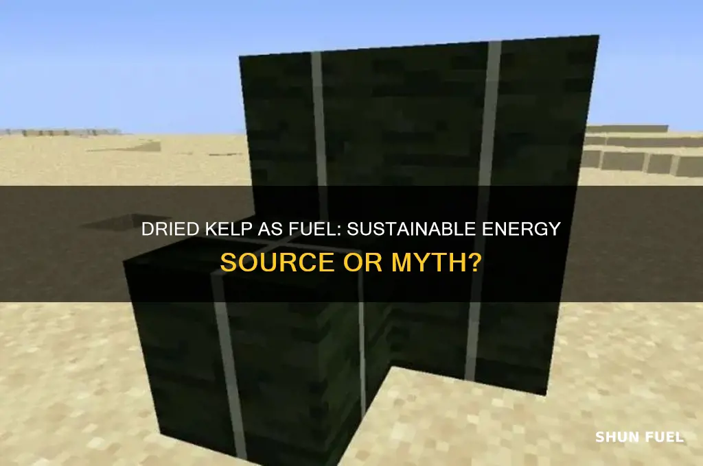 can dried kelp be used as fuel